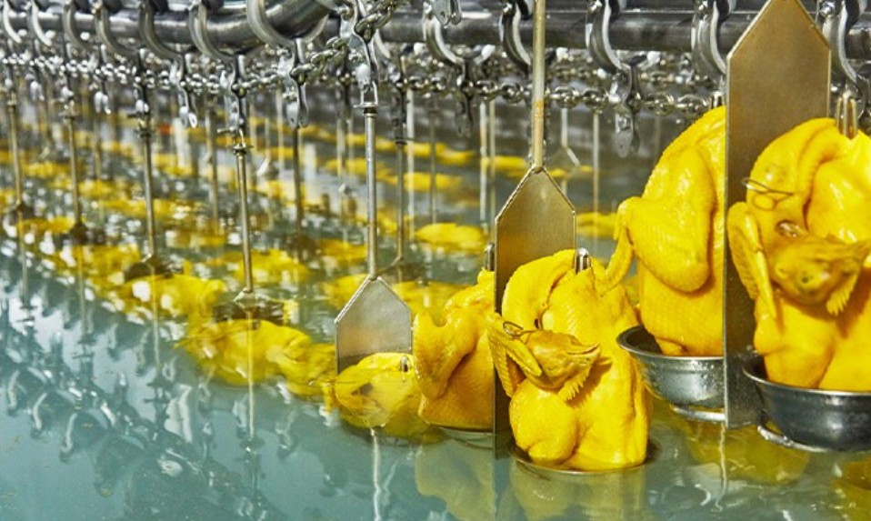 唐順興港式燒臘：美味傳承，盡顯港風(fēng)韻味