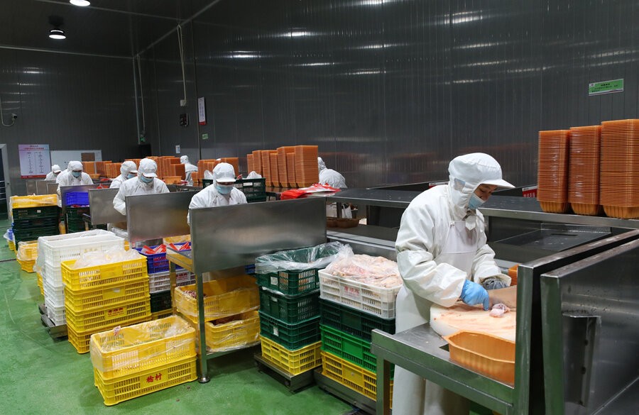 白切雞批發(fā)供應商-打造智能物流，高效供應鏈體系