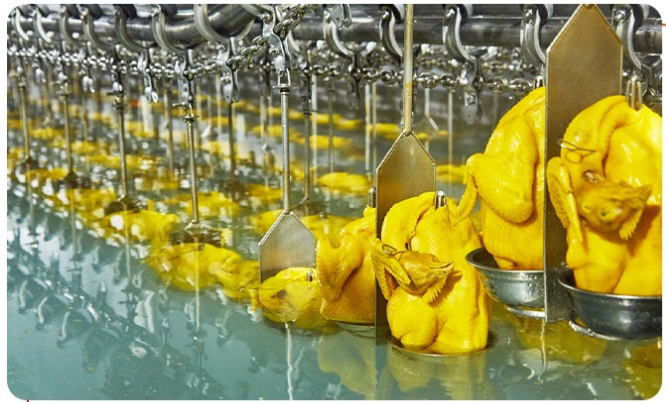 白切雞食材供應(yīng)商有安全保障嗎？