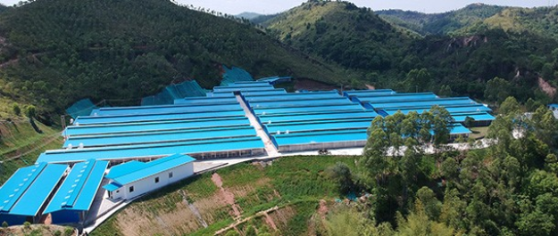 唐順興白切雞食材供應(yīng)商加工與處理方法