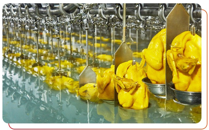 白切雞食材供應(yīng)商唐順興的優(yōu)勢特點(diǎn)